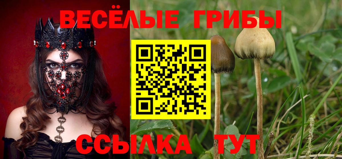 Псилоцибиновые грибы Magic Shrooms Мелеуз